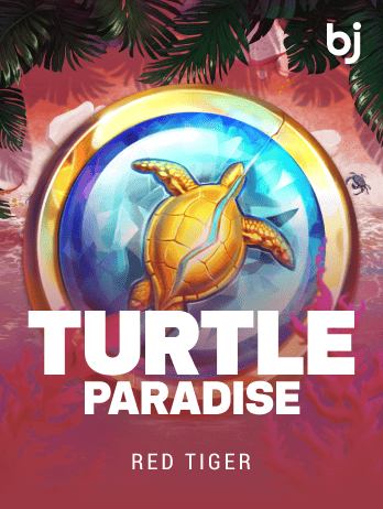 Turtle Paradisepng